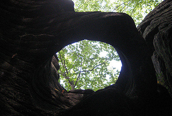 Moss Island National Natural Landmark